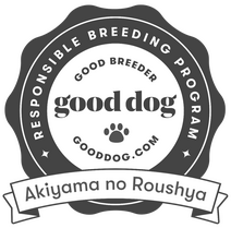 Good Dog